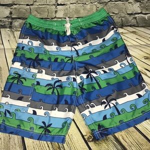 Hanna Andersson swim trunks